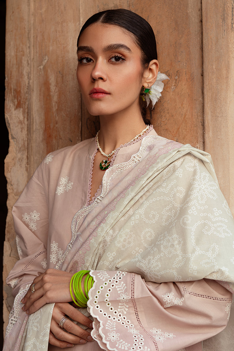 SAGE FROST-3 PIECE LAWN EMBROIDERED SUIT