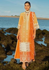 Zainab Chottani - Afsana - 8B - Summer Lawn