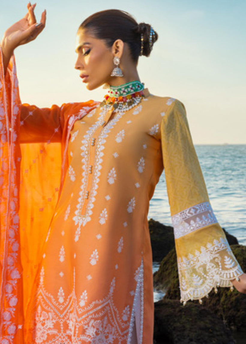 Zainab Chottani - Afsana - 8B - Summer Lawn