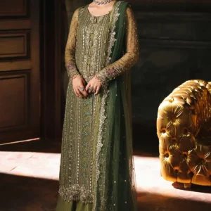 chiffon pakistani suit designer