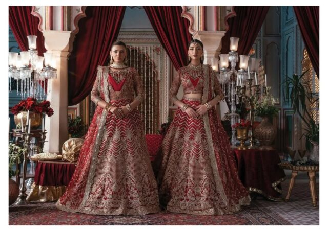 Imrozia bridal collection Beautiful heavy hand EMBLISHMENT work wedding collection available for booking
For online orders, do inbox 00971528875544
Cash on delivery available all over UAE